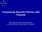 polymer