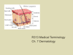 Ch. 7 Dermatology