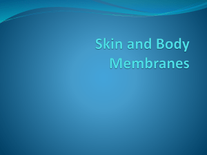 Skin and Body Membranes