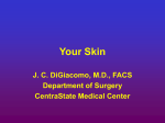 Skin Cancer PowerPoint Presentation