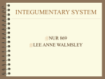 INTEGUMENTARY SYSTEM - University of Kentucky
