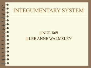 INTEGUMENTARY SYSTEM - University of Kentucky