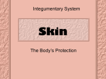 Skin