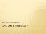 Anatomy & Physiology