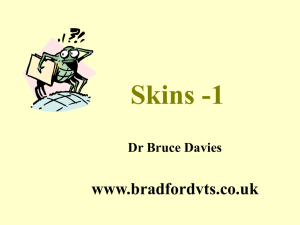 Skins -1