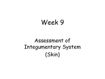Week 9 Integumentary System