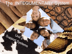 Integumentary - Davis School District