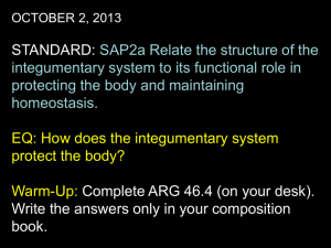 Integumentary System