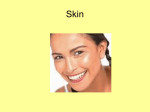 Skin - Dl4a.org