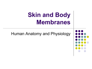 Skin and Body Membranes