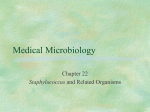 Staphylococcus and Related Organisms