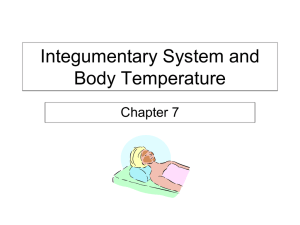 Integumentary System and Body Temperature