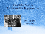 Snowflake Bentley By: Jacqueline Briggs Martin