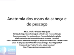 Ossos da Cabeça e do Pescoço