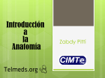 Anatomía - Telmeds.org