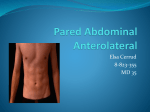 Pared Abdominal Anterolateral