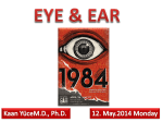 Eye & Ear - WordPress.com
