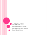 TEMA-Abdomen - Biomedicgow