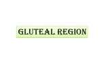 Gluteal region