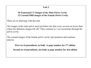 Pelvis: CT axials, male & MRI Coronals, female