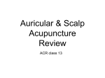 ACR-517-Handout-13 - Acupuncture Massage College