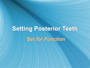 CD_files/15. Set Posterior Teeth Ling & Monopl