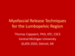 Myofascial Release Techniques for the Lumbopelvic Region