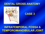 DENTAL GROSS ANATOMY CASE 3 INFRATEMPORAL FOSSA