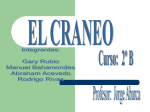 EL_CRANEO