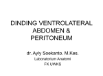 situs abdominis-dinding abd-peritoneum-4