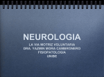 Neurología