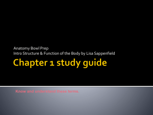 Chapter 1 study guide