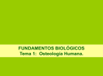 Tema2_Osteología_2. 1112