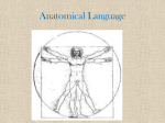 Anatomical Language - Mrs. Reid's Webpage