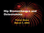 Hip Biomechanics and Osteotomies