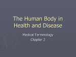 The Human Body in Health and Design