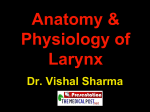 Anatomy & physiology of larynx