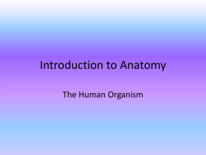 Introduction to Anatomy - Mt. Olive School District