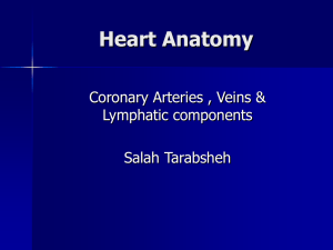 Heart Anatomy