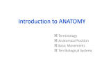 Introduction to ANATOMY