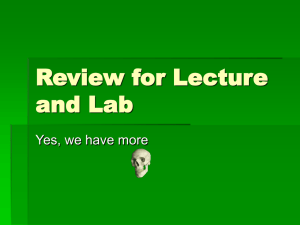 Review for Lecture and Lab