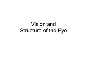 The Eye - West Jefferson Local Schools Home