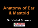 Anatomy of Ear & Mastoid