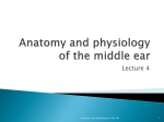 Anatomy and physiology of the middle ear