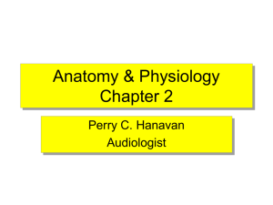 Anatomy & Physiology Chapter 1