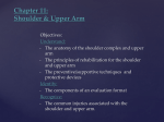 Chapter 11: Shoulder & Upper Arm