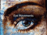Eye Movements – the basics