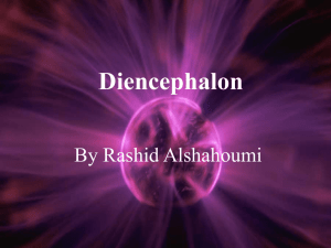 Diencephalon - McGill University