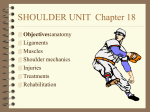 SHOULDER UNIT Chapter 18