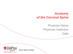 Anatomy of the Cervical Spine - All About Back and Neck Pain